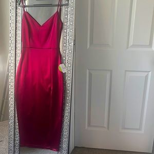 NWT Windsor Dress